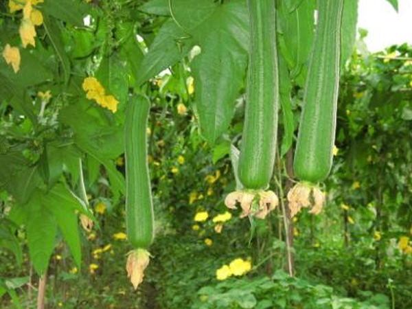 无锡员工食堂承包