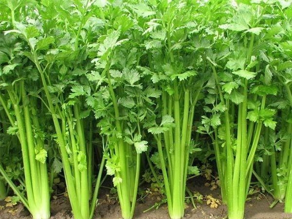 无锡员工食堂承包