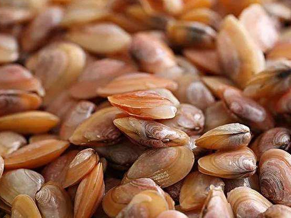 广州优质承包食堂电话