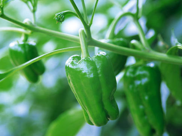 德州优质食堂托管公司