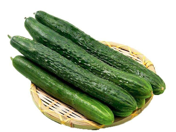 黄瓜